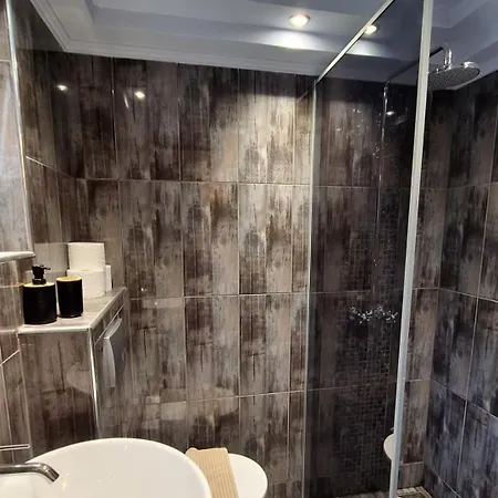 فندق Thea سارتي