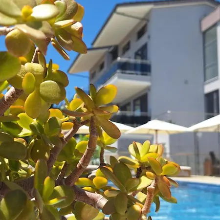 فندق Thea سارتي